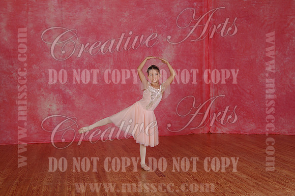 DSC_2748